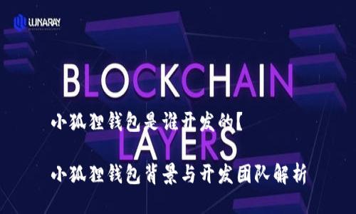 小狐狸钱包是谁开发的？

小狐狸钱包背景与开发团队解析