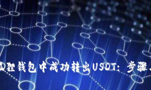 如何在小狐狸钱包中成功转出USDT: 步骤与注意事项