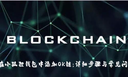  如何在小狐狸钱包中添加OK链：详细步骤与常见问题解答