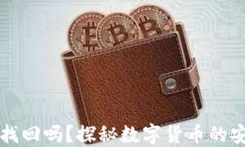 
小狐狸币丢了能找回吗？探秘数字货币的安全性与找回方法