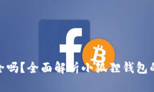 小狐狸钱包软件安全吗？全面解析小狐狸钱包的安全性与使用体验