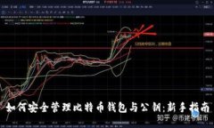 如何安全管理比特币钱包与公钥：新手指南