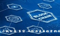  小狐狸币：真实、风险与未来投资指南