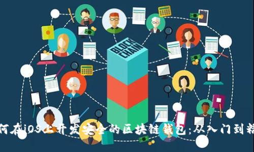 如何在iOS上开发安全的区块链钱包：从入门到精通