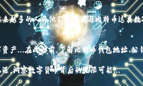   比特币钱包地址与公钥：揭开数字货币背后的秘密 / 
 guanjianci 比特币,钱包地址,公钥,数字货币 /guanjianci 

引言：数字货币的迅猛崛起
在这个信息爆炸的时代，数字货币已经不再是一个遥不可及的概念。比特币，作为首个也是最具代表性的数字货币，正如一颗令人瞩目的明星，令无数投资者趋之若鹜。然而，许多人对其背后的技术原理却知之甚少。今天，我们将一起探讨比特币钱包地址与公钥的关系，揭开这个神秘面纱...准备好了吗？

比特币钱包地址的定义
简单来说，比特币钱包地址就是一个由字母和数字组成的字符串，通常以“1”或者“3”开头。它可以看作是你的银行账户，帮助你收发比特币。每当有人想要向你发送比特币时，他们需要你的钱包地址。在这个转瞬即逝的信息时代，拥有一个安全、可靠的钱包地址显得尤为重要...

公钥的神秘面纱
那么，什么是公钥呢？你可能听说过“私钥”和“公钥”的概念，但它们之间到底有什么联系呢？公钥是从私钥生成的，它的作用是接收比特币。换句话说，如果你的私钥是你的信用卡密码，那么公钥就是你的信用卡号...听起来是不是有点复杂？别急，我们一步步来解决这个谜团。

比特币钱包地址与公钥的关系
比特币钱包地址——它其实是公钥经过一系列计算得来的。这个过程，涉及哈希算法，简而言之，就是将公钥转化为比特币地址的过程。这听起来像是绕口令，但本质上，这个过程不仅确保了地址的安全性，同时也具备了不同形式的兼容性。你可能会问：“这里面到底有什么门道？”

安全性与隐私：保护你的数字资产
在讨论比特币时，安全性永远是个热门话题。许多人对自己的钱包地址隐私表示担忧——毕竟，任何人都可以看到在区块链上交易的记录。如果说公钥是你的数字账户，那么钱包地址就像是你在网络上的“社交名片”。你可以分享它来接收资金，但不能轻易透露私钥，这一点至关重要...

文化关联性：比特币在当今社会的影响
当我们谈论比特币时，难免会提到加密货币如何在现代社会中产生影响。比如，蔚来汽车与比特币的结合、不少企业将比特币作为支付手段，乃至于一些国家开始探索发行自己的法定数字货币——这都是比特币为我们带来的影响...你是否在某种时刻感受到，它正在改变我们的生活、工作方式以及金融观念？

结论：理解比特币的关键
总结来说，比特币钱包地址与公钥之间的关系不仅仅是技术上的连接，它也是对我们数字身份的一种隐喻。在未来，我们可能会看到越来越多的人将他们的生活与比特币这类数字货币紧密结合...这是一种趋势，还是一种变革？无论如何，理解这些背后的技术原理将是每一个希望进入这个世界的人的必经之路！

未来展望：拥抱数字货币的新纪元
展望未来，随着技术的不断进步，我们或许会见证一个数字货币全面普及的时代。这不仅包括比特币，也可能包括其他各种各样的数字资产...在此之前，了解比特币钱包地址、公钥之间的关系，无疑是我们在这个新世界生存和发展的基石。

至此，我们不仅仅是在讨论比特币的基本面，更是对其在现代社会中角色的深入思考。希望每一个关注这一领域的人，都能抓住这次机遇，洞察数字货币背后的无限可能...