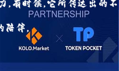 小狐狸钱包简笔画指南：一步步教你画出可爱的小狐狸钱包

对于热爱手工与绘画的小伙伴们，简笔画不仅是一种乐趣，更是一种表达自我的方式。而今天，我们要学习的就是如何画出可爱的小狐狸钱包。这种设计灵感源于小狐狸的灵动与可爱，同时钱包的实用性也让它成为了许多人日常生活中不可或缺的一部分。接下来，让我们从头开始一步步破解这个可爱作品的画法。

第一步：打基础，画狐狸的轮廓

首先，我们要为小狐狸的钱包打下一个基本的轮廓。在纸上，轻轻划出一个类似于扁平椭圆的形状，这将作为钱包的主体。为了呈现狐狸的外形，可以在椭圆的上部稍微画出两个尖尖的耳朵，这样就能传达出小狐狸的特征了。记得，不需要太过于追求完美的线条，只要能够体现出狐狸的特征就好。

第二步：细化狐狸的脸部特征

接下来，我们会为这只小狐狸添加一些细节，尤其是它的脸部特征。在你刚画出的椭圆形中，使用小圆圈表示狐狸的眼睛。而在它的眼睛上方，再画出稍微弯曲的线条作为眉毛，增添一些俏皮的表情。然后，画一个小小的三角形作为鼻子，并稍微延伸一下，形成可爱的嘴巴。

第三步：添加狐狸的钱包细节

当狐狸的面部特征完成后，我们需要在它的身体上绘制一些钱包的细节。可以在钱包的下部分画出一些口袋的线条，建议用简单的直线来表示，这样更能突出钱包的设计感。另外，可以在钱包的边缘添加一些流行的装饰元素，例如小星星或心形图案，让它更加生动。

第四步：勾线与上色

完成基本的草图后，就到了勾线的环节。这一步需要用黑色的细笔仔细勾勒出你之前画的轮廓，确保所有细节都完整展现出来。接着，可以用彩色铅笔、马克笔或水彩来为它上色。小狐狸通常是橙色的，所以可以选择橙色作为主色调。另外，耳朵和腹部的部分可以用稍微浅一点的颜色来表现出阴影感。

第五步：构建背景与完成作品

最后，为了让你的作品看起来更加完整和生动，可以为它构建一个简单的背景。比如可以画一些草地或几朵小花，甚至可以添加一轮明月，营造出夜晚小狐狸在森林中探险的感觉。这些背景不仅能提升画面的层次感，也为小狐狸钱包增添了一份浪漫与奇幻。

小狐狸钱包的粘合与现实应用

如果你是在考虑将这个简笔画转化为实体作品，可以考虑将其印刷在布料上，制作成一个真实的钱包。这样的DIY项目可以帮助许多人感受到创作的乐趣，同时也在生活中增添一份独特的艺术气息。想象一下，带着自己动手制作的可爱小狐狸钱包，走在街上，绝对能成为众人瞩目的焦点！

总结与启发

通过这次的学习，我们不仅学会了如何画出小狐狸钱包的简笔画，更理解了创作过程的乐趣。这种简笔画的方式能够激发我们的想象力和创造力，有时候，它所传达出的不仅仅是图画本身，更是一种情感的表达与自我的展示。而通过这样的创作，或许我们能找到更多生活中的美好瞬间。

所以，赶快动手试试吧！当你拿起画笔和纸张时，所有的思绪与感觉都能在这幅作品中得到释放。你的小狐狸钱包，或许会成为你生活中最温暖的陪伴。

小狐狸钱包简笔画：简单易学，让你爱上画画