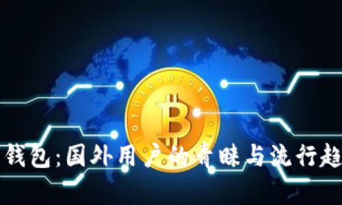 小狐狸钱包：国外用户的青睐与流行趋势解析