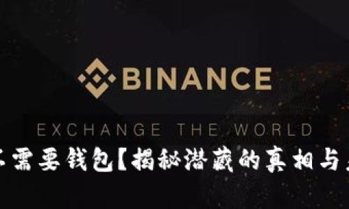 比特币不需要钱包？揭秘潜藏的真相与未来趋势