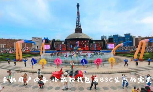 苹果手机用户必备：小狐狸钱包与BSC生态的完美融合