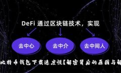 为什么比特币钱包下载速度慢？解密背后的原因