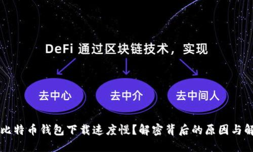 为什么比特币钱包下载速度慢？解密背后的原因与解决方案