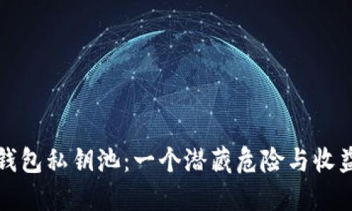 揭秘比特币钱包私钥池：一个潜藏危险与收益的数字海洋