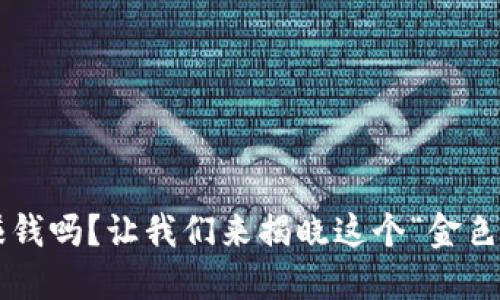 比特币放钱包能赚钱吗？让我们来揭晓这个“金色梦幻”背后的秘密！