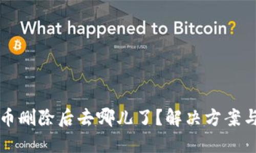 小狐狸钱包代币删除后去哪儿了？解决方案与实用技巧分享