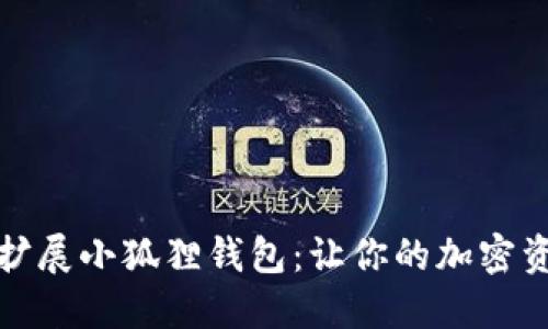 如何在电脑上扩展小狐狸钱包：让你的加密资产管理更高效