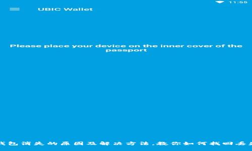 小狐狸钱包消失的原因及解决方法，教你如何找回丢失的钱包