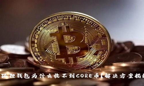 小狐狸钱包为什么收不到CORE币？解决方案揭秘！