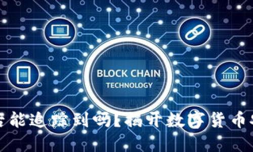 比特币钱包被盗后能追踪到吗？揭开数字货币安全性的神秘面纱