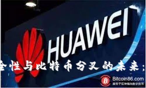 在线钱包的安全性与比特币分叉的未来：你该如何选择？