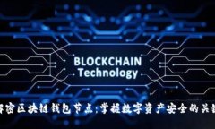 解密区块链钱包节点：掌握数字资产安全的关键