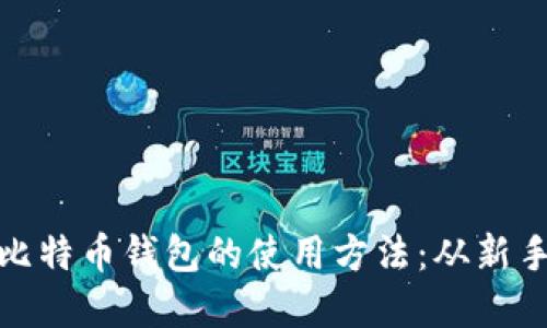 轻松掌握网页比特币钱包的使用方法：从新手到高手的宝典
