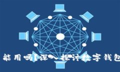 小狐狸钱包：国内能用吗？深入探讨数字钱包的