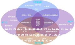 小狐狸钱包字母代表的是“Fox”（狐狸）以及它