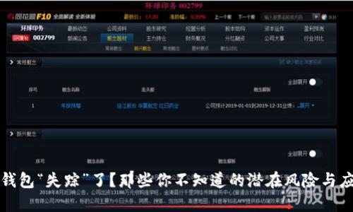 比特币钱包“失踪”了？那些你不知道的潜在风险与应对策略