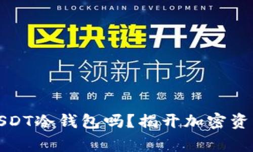 警察真的能查到USDT冷钱包吗？揭开加密资产监管的神秘面纱