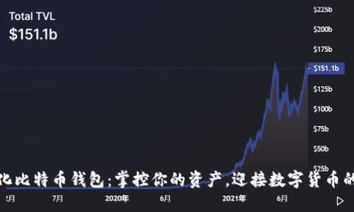 去中心化比特币钱包：掌控你的资产，迎接数字货币的新时代