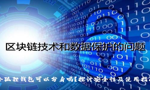 小狐狸钱包可以分身吗？探讨安全性及使用指南