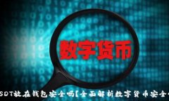   USDT放在钱包安全吗？全面解析数字货币安全性