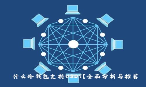  什么冷钱包支持USDT？全面分析与推荐