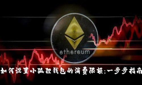 如何设置小狐狸钱包的消费限额：一步步指南