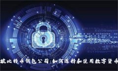新加坡比特币钱包公司：如何选择和使用数字货