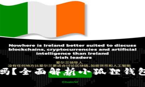 小狐狸钱包出币了吗？全面解析小狐狸钱包的功能与未来发展