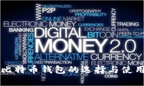 深圳比特币钱包的选择与使用指南