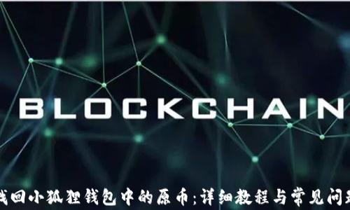 
如何找回小狐狸钱包中的原币：详细教程与常见问题解答