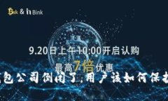 如果以太坊钱包公司倒闭了，用户该如何保护自