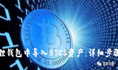 如何在小狐狸钱包中导入BTCS资产：详细步骤与实用技巧