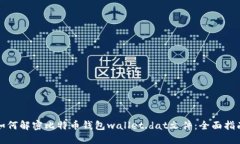 如何解密比特币钱包wallet.dat文件：全面指南