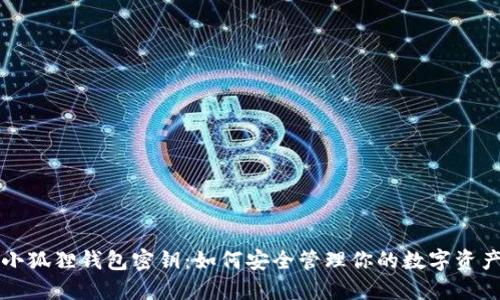 小狐狸钱包密钥：如何安全管理你的数字资产